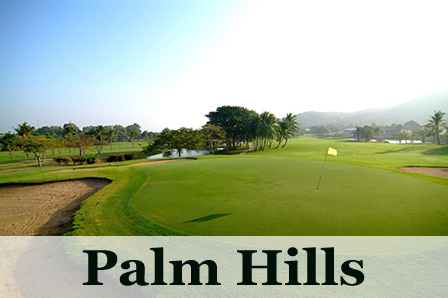 Palm Hills GC, 1 Jan 2025